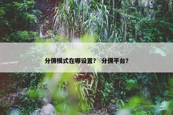 分佣模式在哪设置？ 分佣平台？