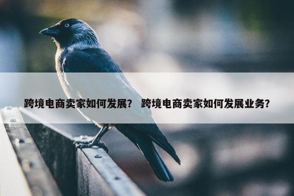 跨境电商卖家如何发展？ 跨境电商卖家如何发展业务？