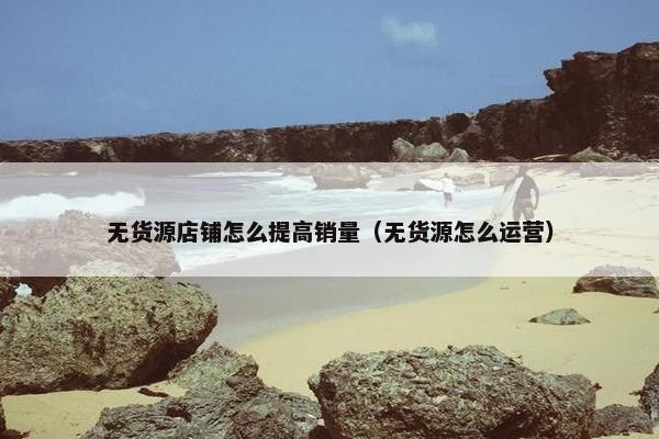 无货源店铺怎么提高销量（无货源怎么运营）