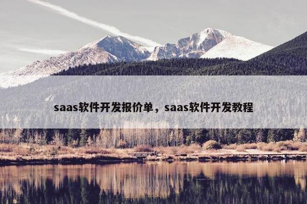 saas软件开发报价单，saas软件开发教程
