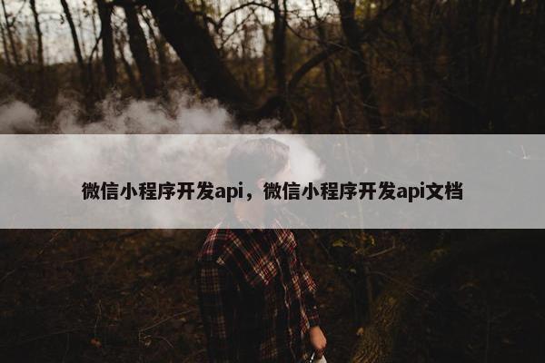 微信小程序开发api，微信小程序开发api文档