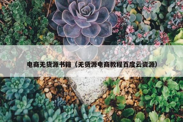 电商无货源书籍（无货源电商教程百度云资源）