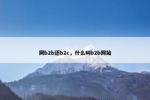 网b2b还b2c，什么叫b2b网站