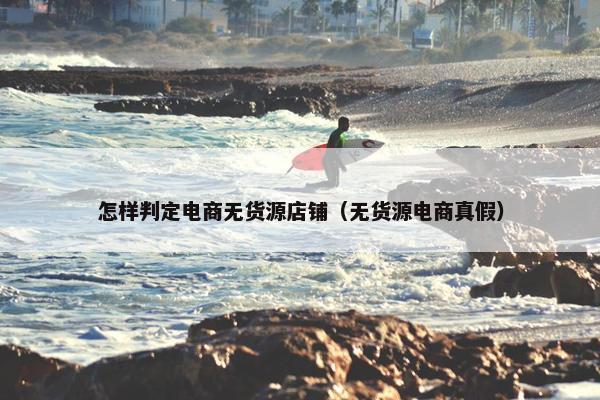 怎样判定电商无货源店铺（无货源电商真假）