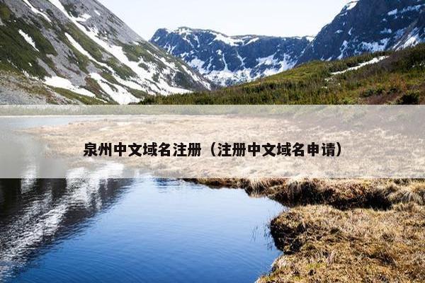 泉州中文域名注册（注册中文域名申请）