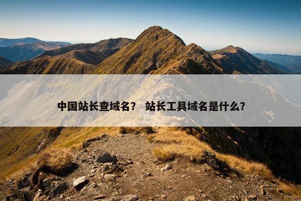 中国站长查域名？ 站长工具域名是什么？