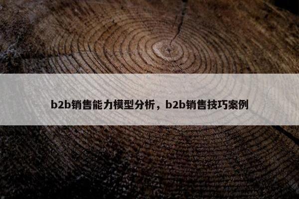 b2b销售能力模型分析，b2b销售技巧案例