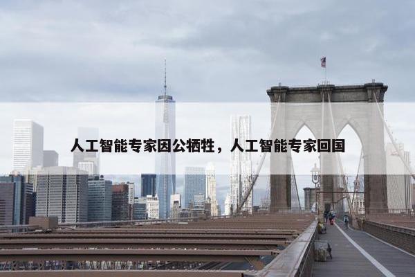 人工智能专家因公牺牲，人工智能专家回国