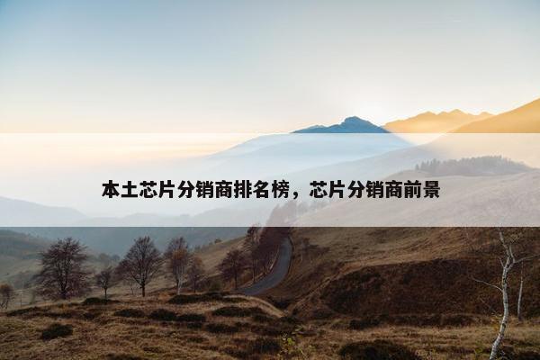 本土芯片分销商排名榜，芯片分销商前景