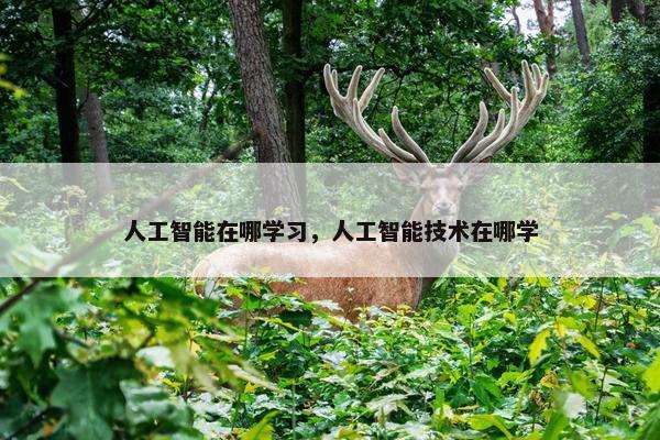 人工智能在哪学习，人工智能技术在哪学