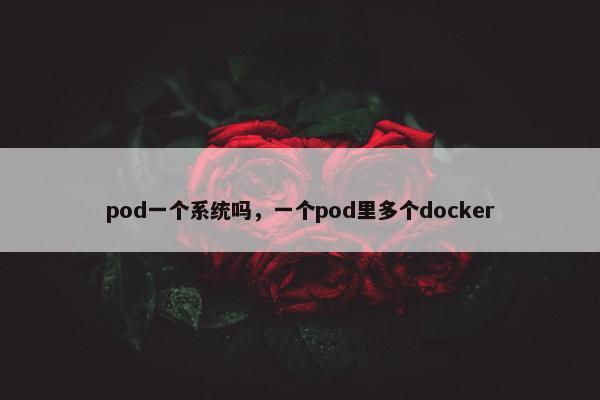 pod一个系统吗，一个pod里多个docker