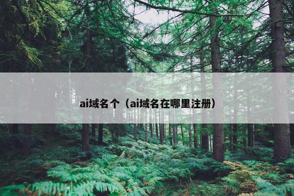 ai域名个（ai域名在哪里注册）