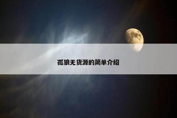 孤狼无货源的简单介绍