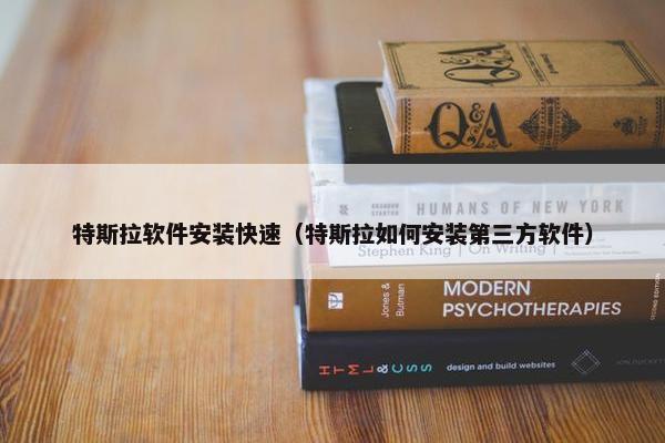 特斯拉软件安装快速（特斯拉如何安装第三方软件）