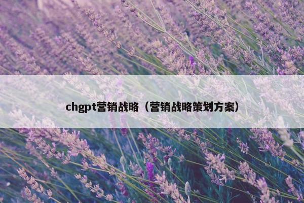 chgpt营销战略（营销战略策划方案）