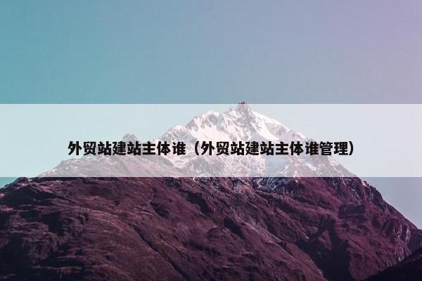 外贸站建站主体谁（外贸站建站主体谁管理）