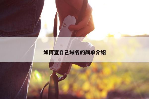 如何查自己域名的简单介绍
