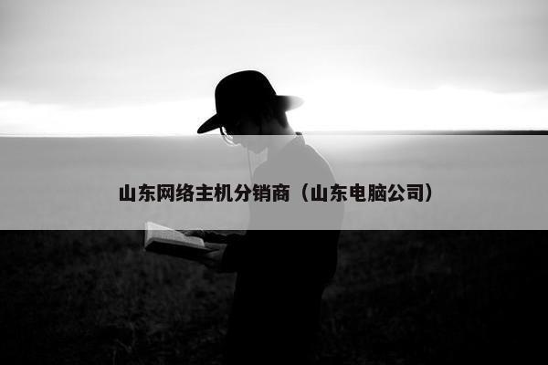山东网络主机分销商（山东电脑公司）