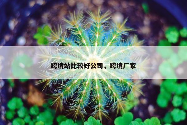 跨境站比较好公司，跨境厂家