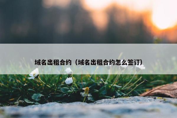 域名出租合约（域名出租合约怎么签订）