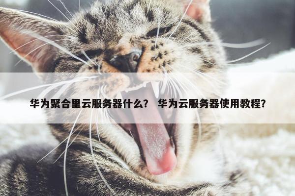 华为聚合里云服务器什么？ 华为云服务器使用教程？