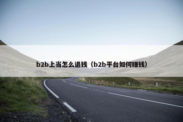b2b上当怎么退钱（b2b平台如何赚钱）