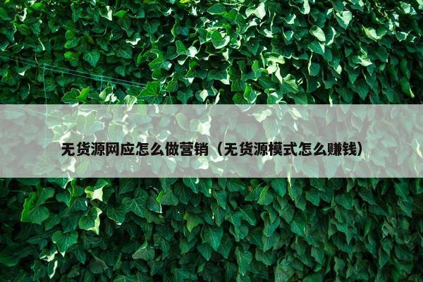 无货源网应怎么做营销（无货源模式怎么赚钱）