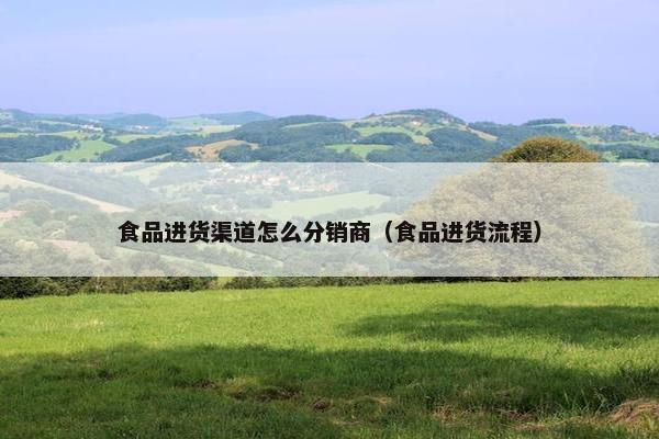 食品进货渠道怎么分销商（食品进货流程）