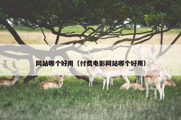 网站哪个好用（付费电影网站哪个好用）