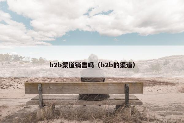 b2b渠道销售吗（b2b的渠道）