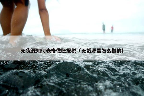 无货源如何表格做账报税（无货源是怎么做的）