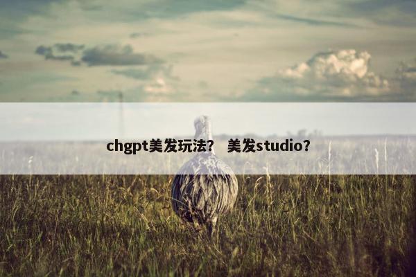 chgpt美发玩法？ 美发studio？