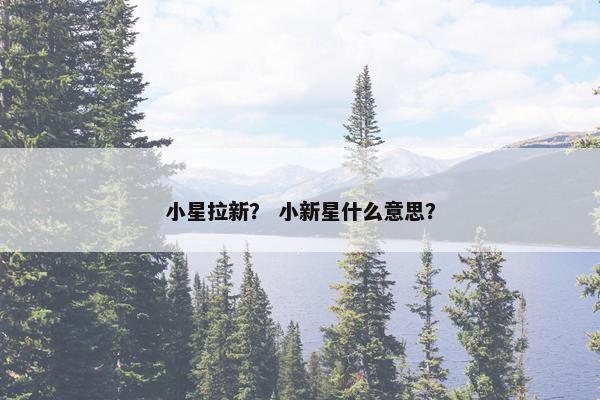 小星拉新？ 小新星什么意思？
