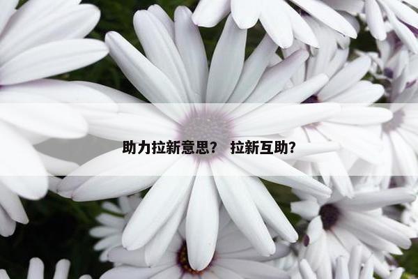 助力拉新意思？ 拉新互助？
