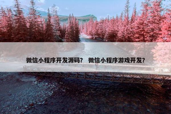 微信小程序开发源码？ 微信小程序游戏开发？