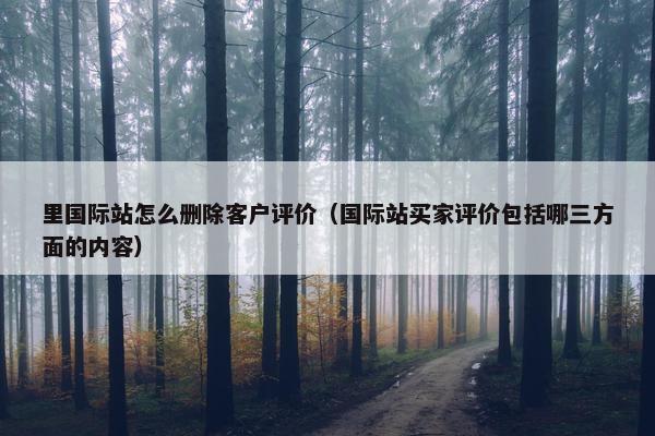 里国际站怎么删除客户评价（国际站买家评价包括哪三方面的内容）