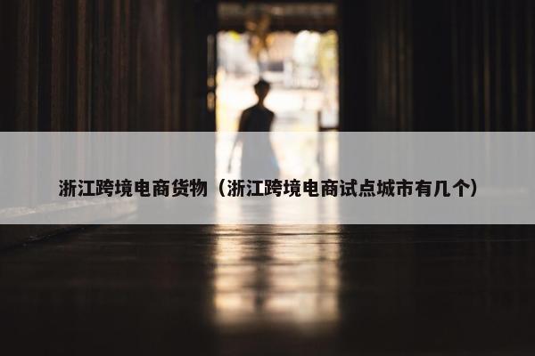 浙江跨境电商货物（浙江跨境电商试点城市有几个）