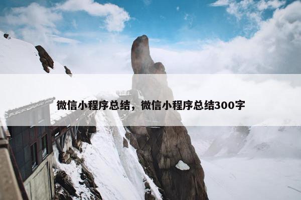 微信小程序总结，微信小程序总结300字