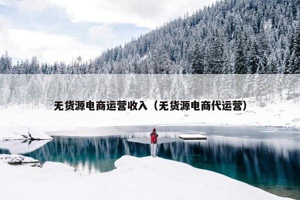 无货源电商运营收入（无货源电商代运营）