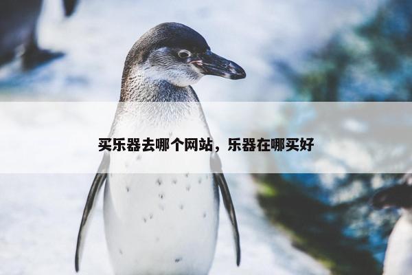 买乐器去哪个网站，乐器在哪买好