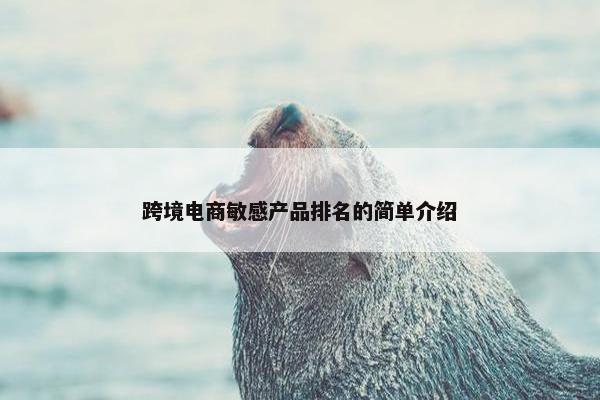 跨境电商敏感产品排名的简单介绍