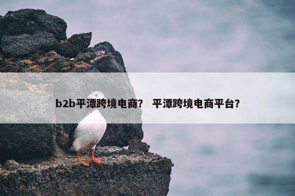b2b平潭跨境电商？ 平潭跨境电商平台？