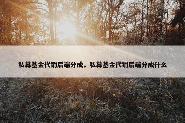私募基金代销后端分成，私募基金代销后端分成什么