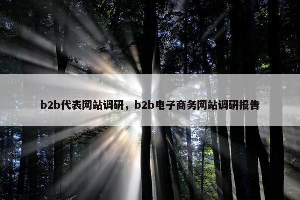 b2b代表网站调研，b2b电子商务网站调研报告