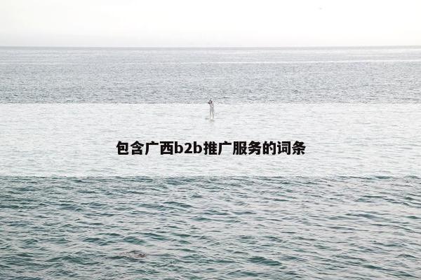 包含广西b2b推广服务的词条