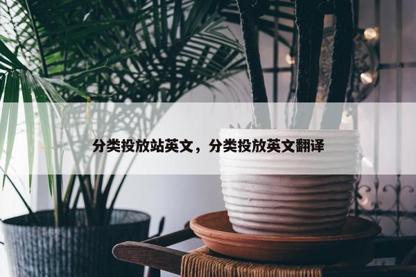 分类投放站英文，分类投放英文翻译