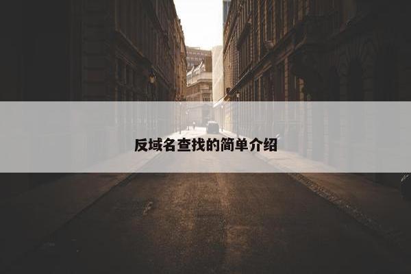 反域名查找的简单介绍