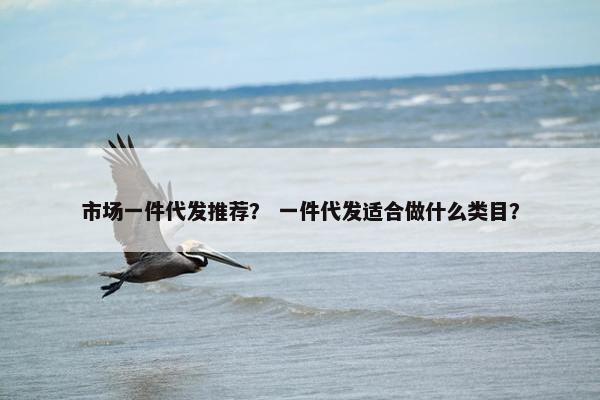 市场一件代发推荐？ 一件代发适合做什么类目？