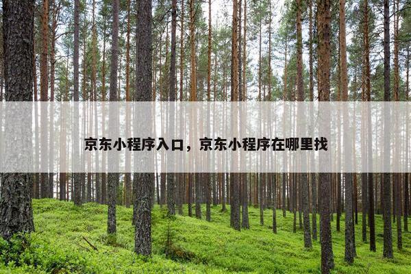 京东小程序入口，京东小程序在哪里找