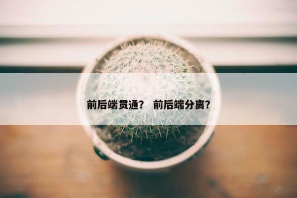 前后端贯通？ 前后端分离？